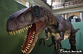 VBS_0979 - Dinosauri. Terra dei giganti